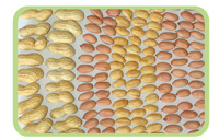 Продукции из арахисов
